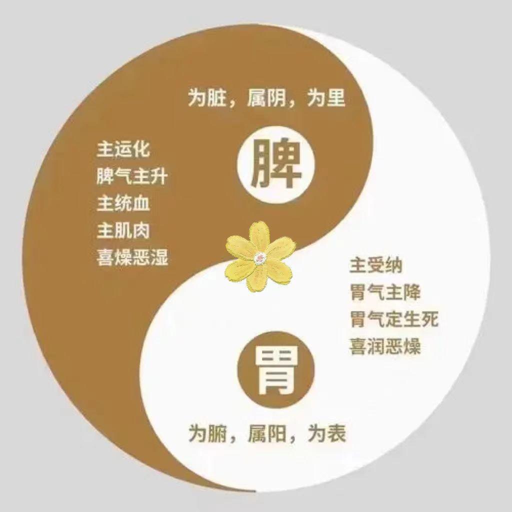夏天，脾胃不喜欢的5个小事，很多家长都不知道
 
1、不喜欢肥甘厚腻、过甜、辛辣