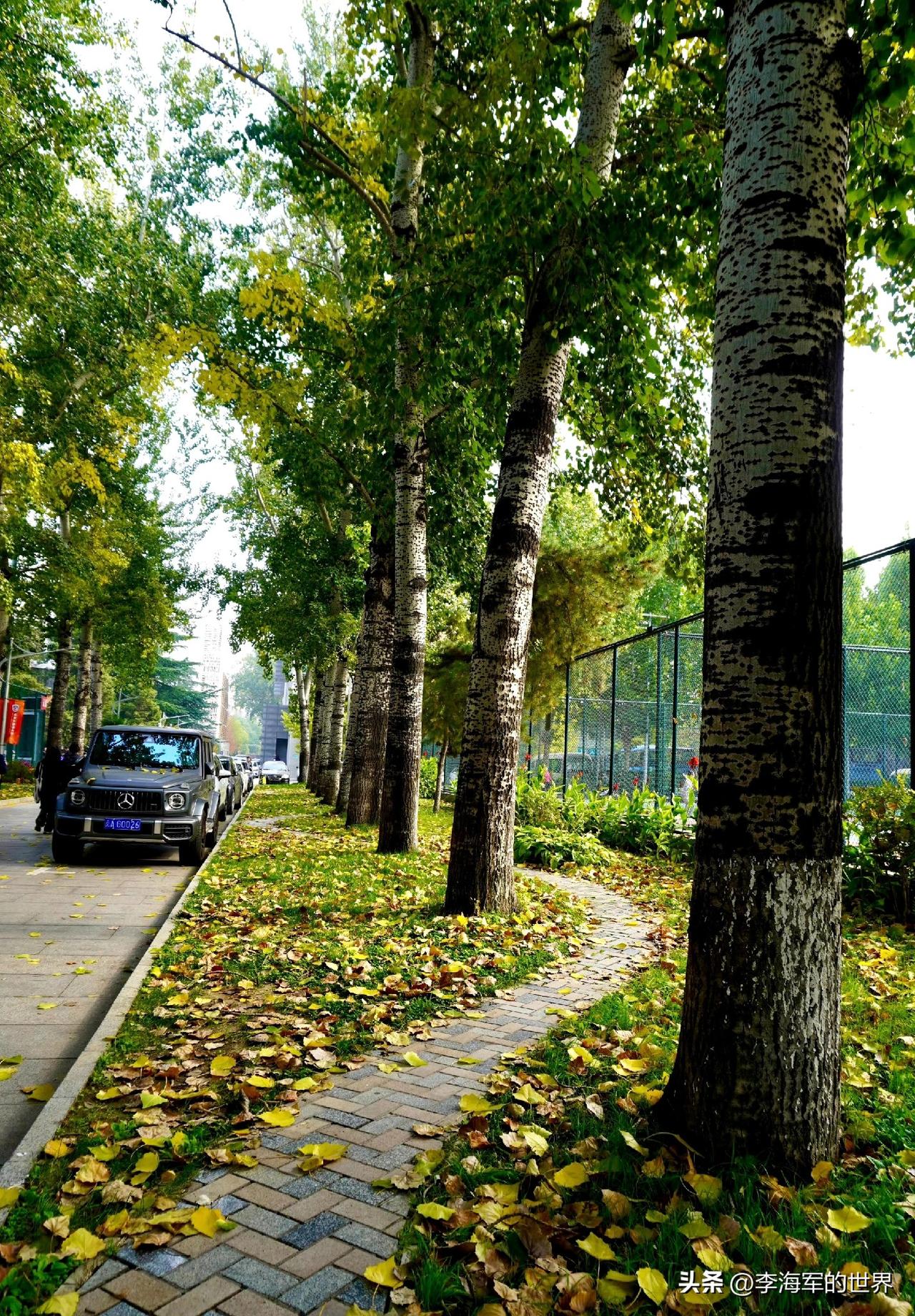 儿子好像不知道有“妈妈”这个词，20年没喊过妈妈[流泪]

“我错了...”
