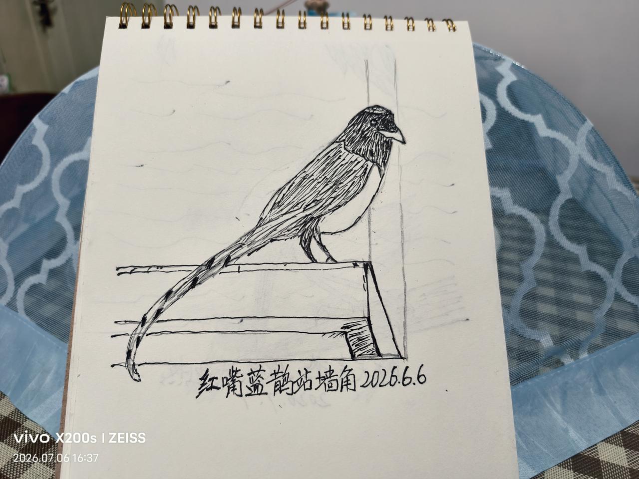 红嘴蓝鹊站墙角
        2026年7月6日16:37，我在家没事拿起铅笔