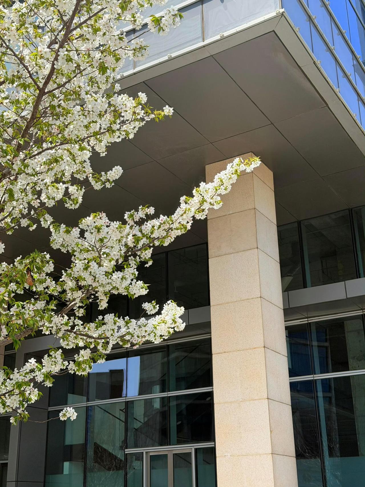 花有花期，人有时运。不必焦虑，一切都在慢慢靠近。