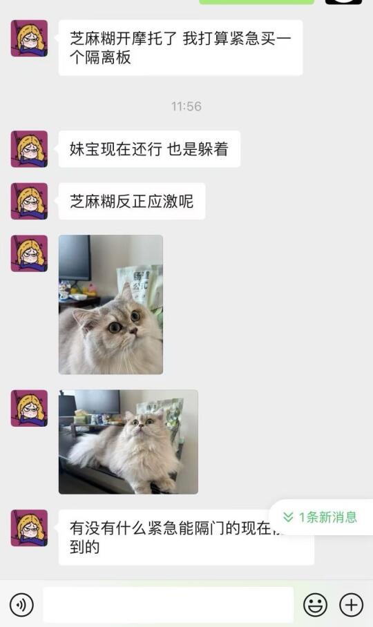 又一个妹宝去新家啦
