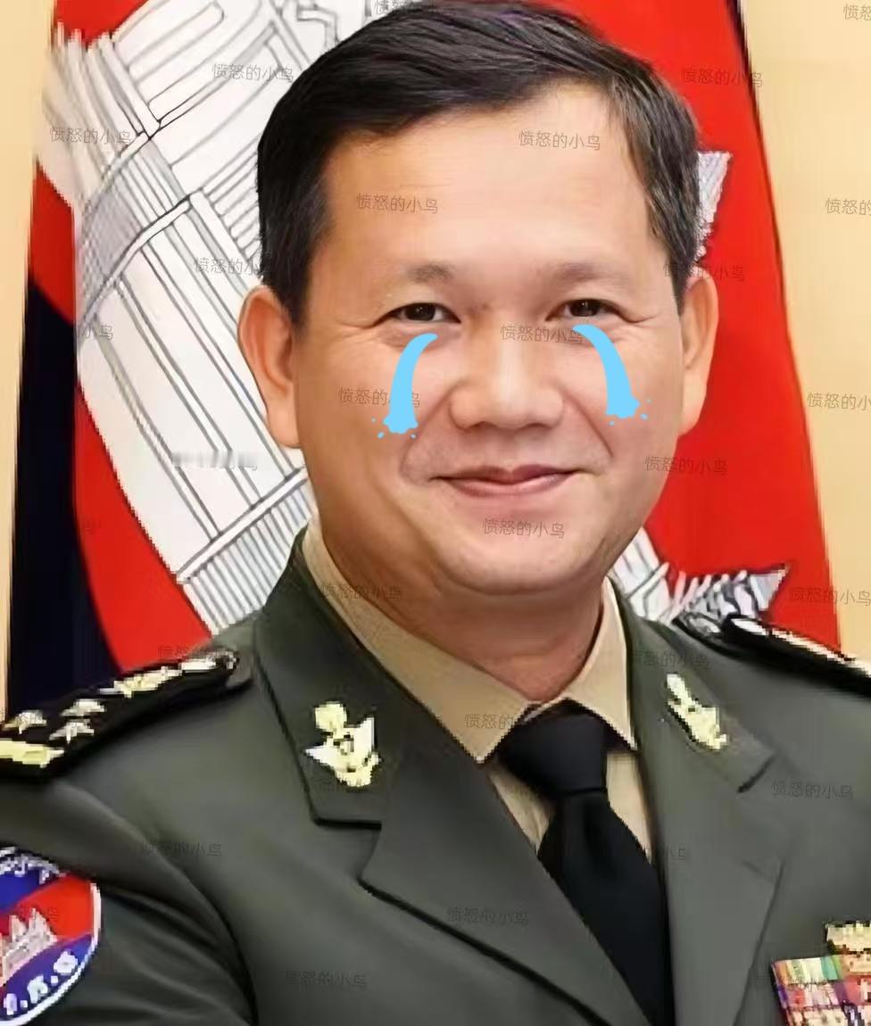 当地时间12月20日晚间，柬埔寨内政部发声明，柬泰边境冲突已造成19名柬平民死亡