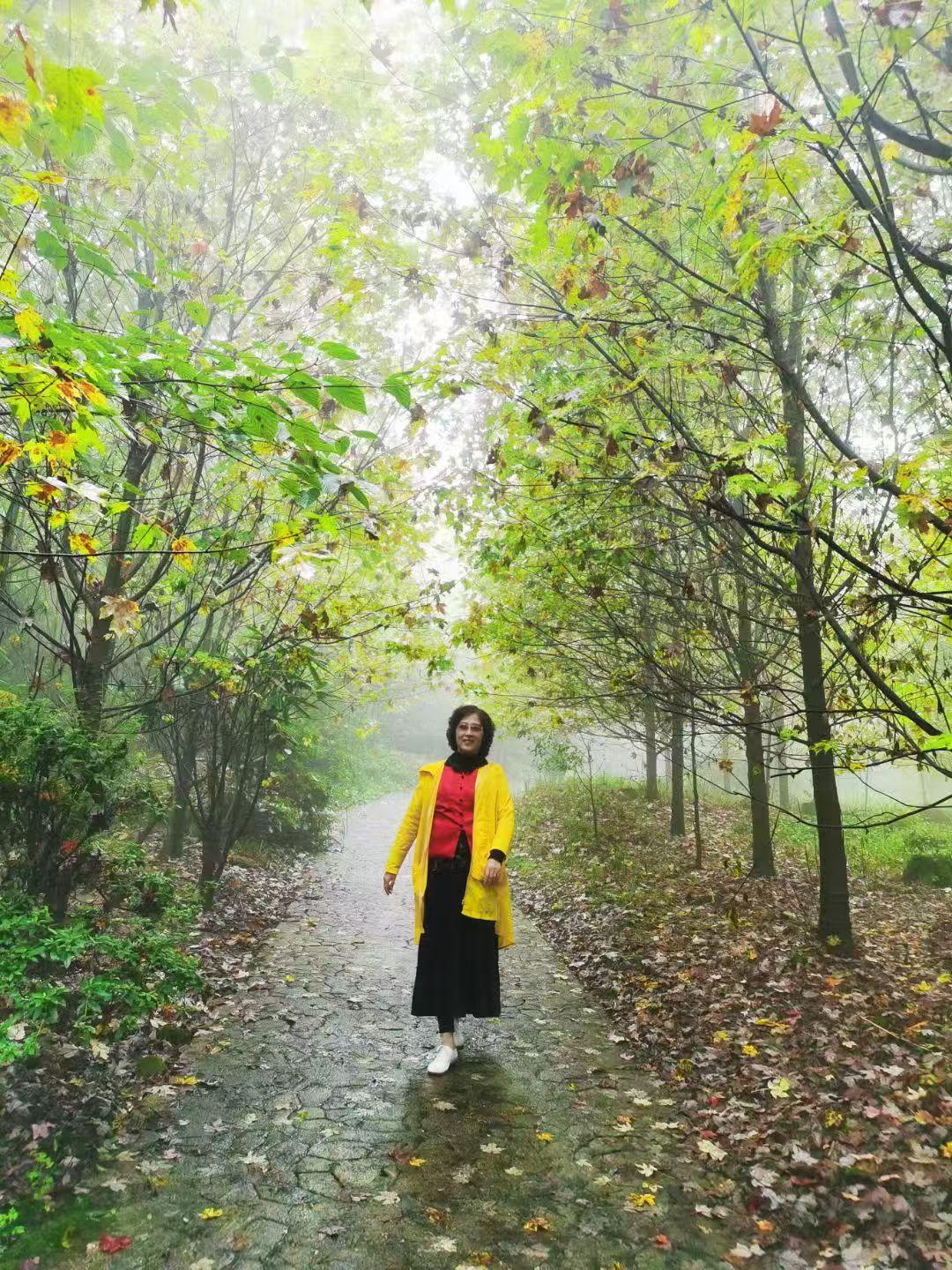 散步，是免费的治愈之旅

冬季来临，气候寒冷，公园溜达的人渐渐少了。可偏偏有一些