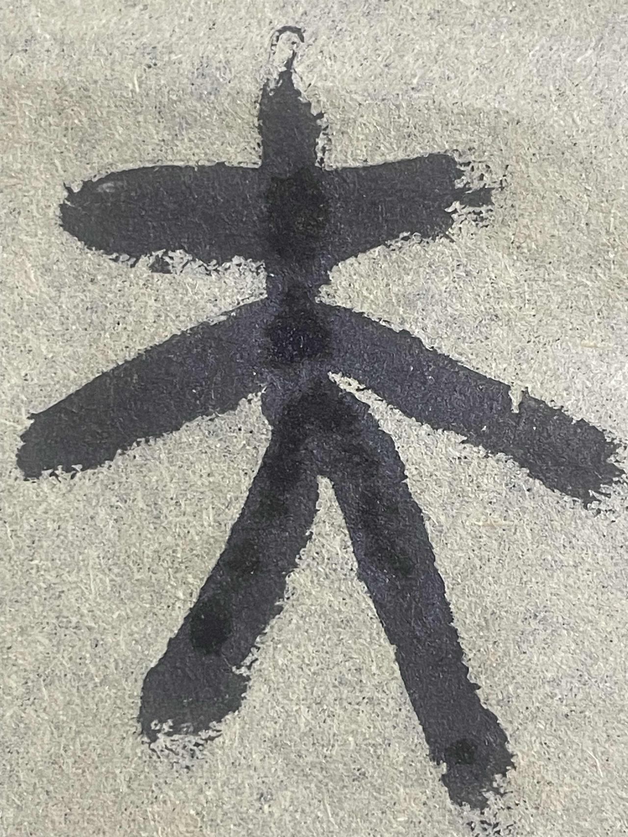 冬日生活打卡季