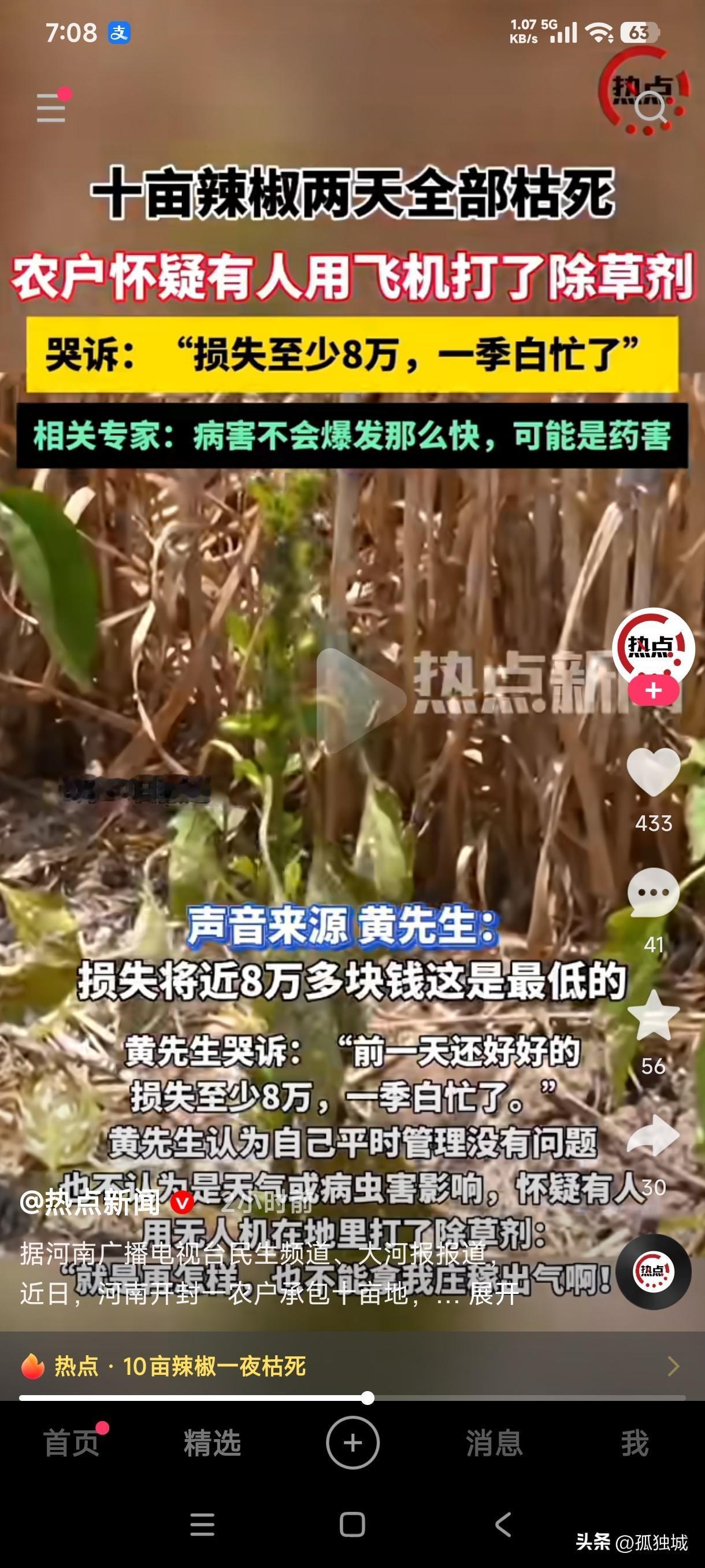 河南开封一农户10亩辣椒一夜之间全部枯死，农户怀疑有人用无人机打了除草剂，损失将