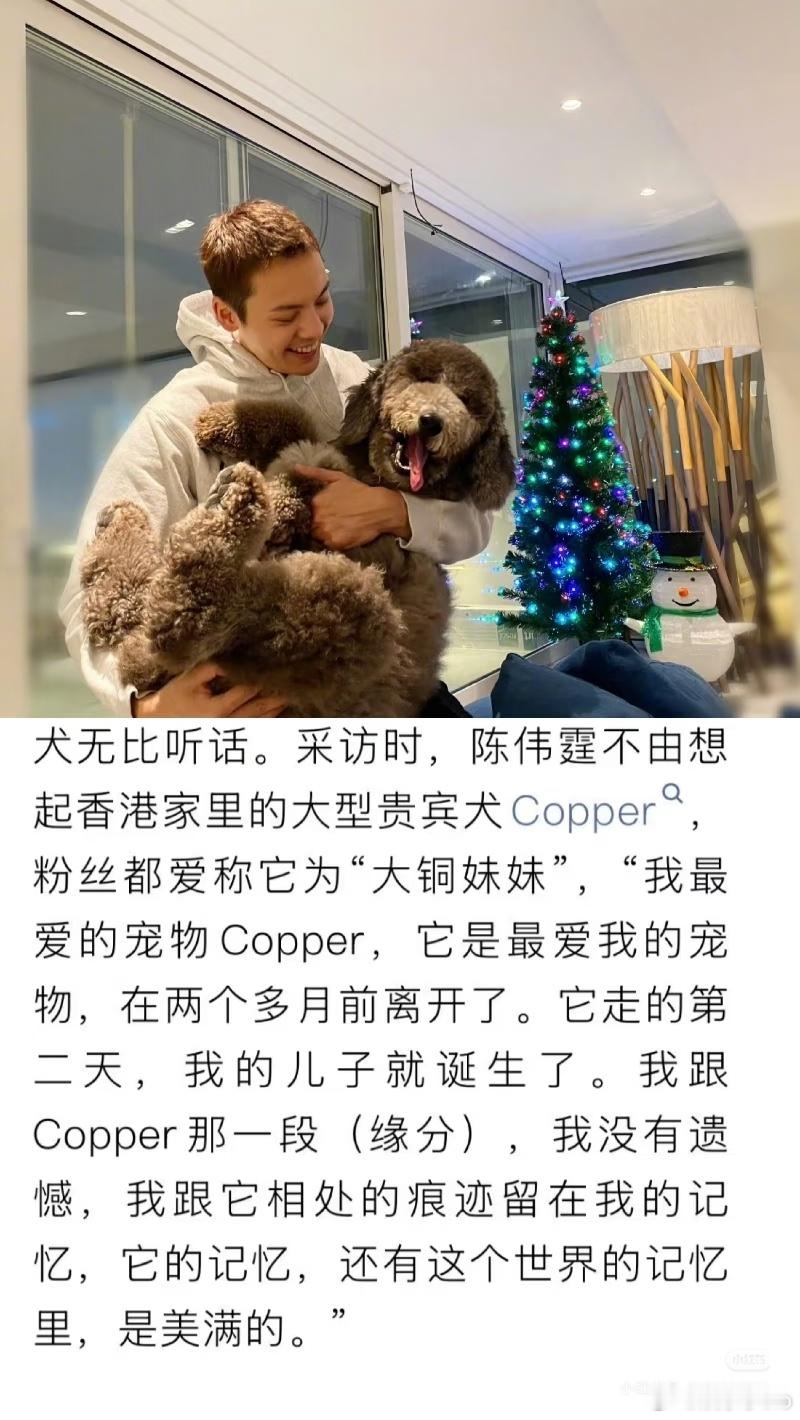 缘分真的好奇妙。陈伟霆有只特别宠爱的狗“大铜妹妹”，在9月的时候去世了。但是在大