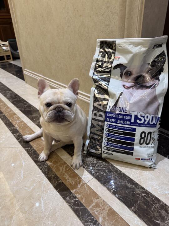 T0级别的狗粮-帝王甲！