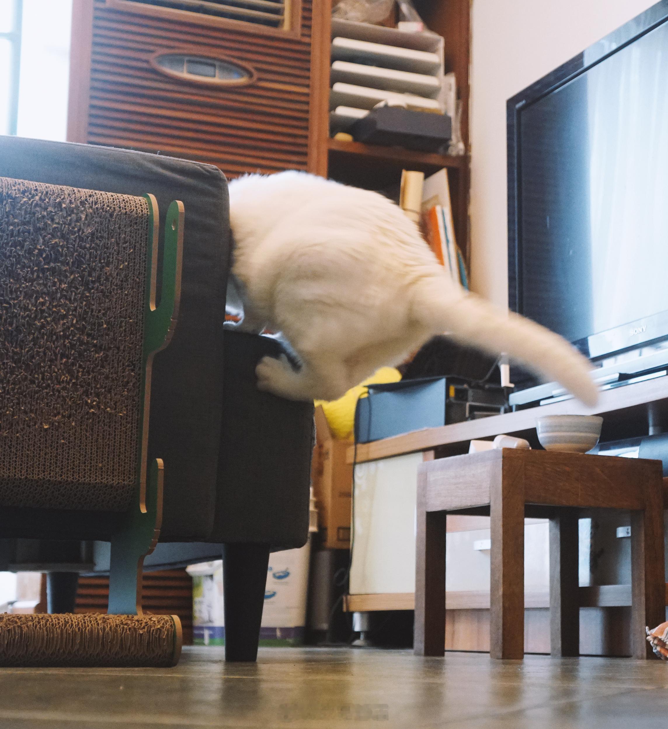 看圖說故事：Q彈 ​​​