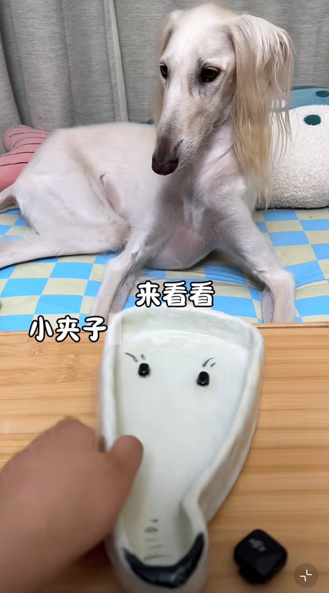 我看上这个碗了 