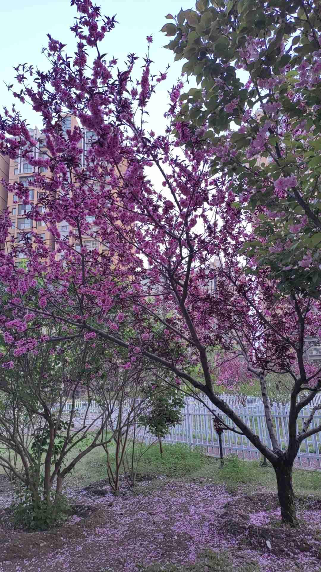 我的今日状态：😁轻松愉快
我这里的天气：☀️晴天