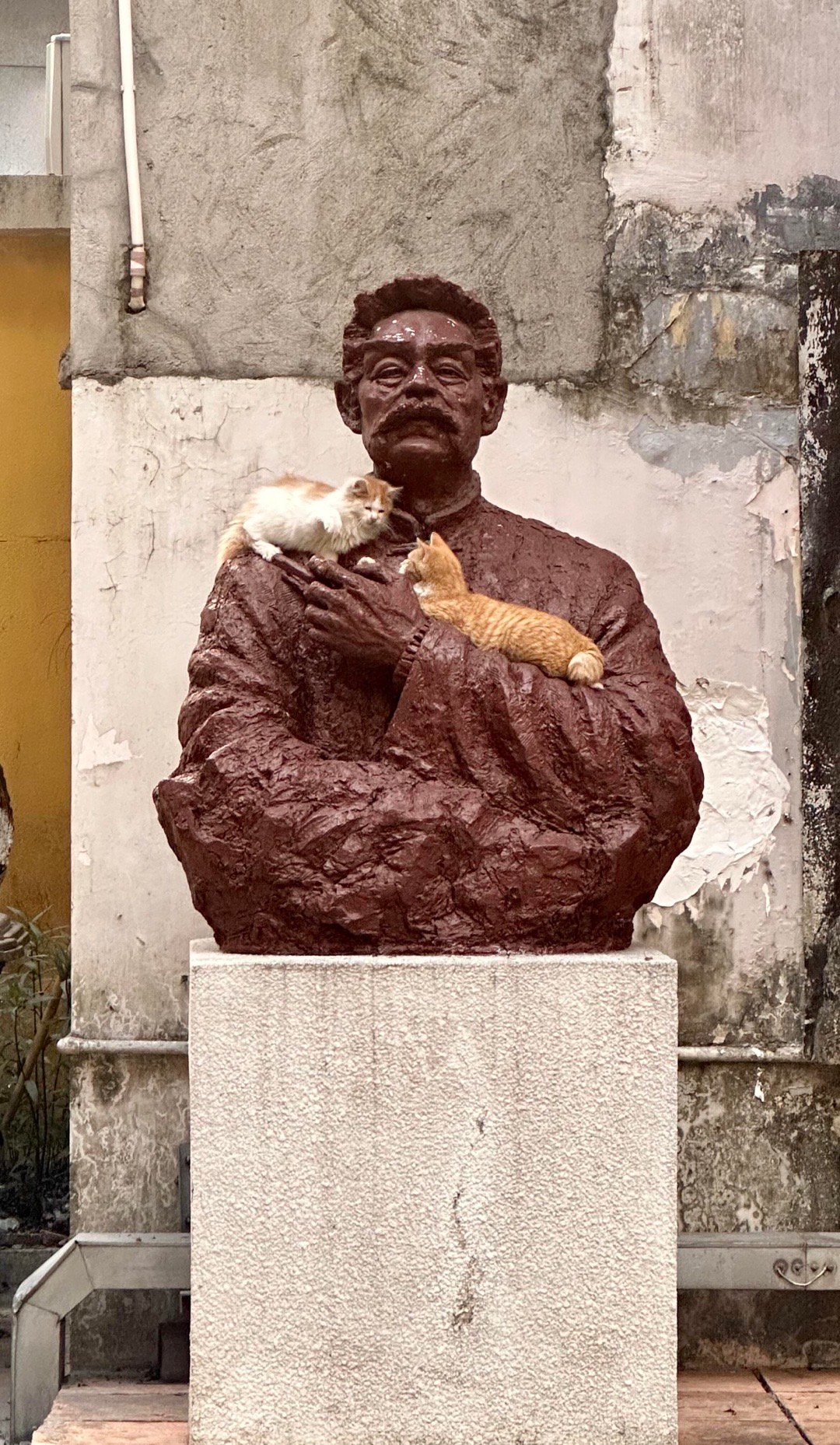 怀抱二猫的鲁迅先生 