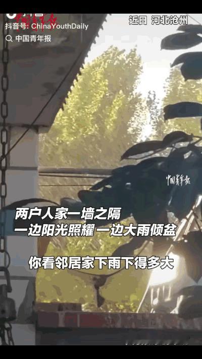 一墙之隔两种天气！沧州小院一边晴空一边大雨，场面太奇特

近日河北沧州出现有趣一