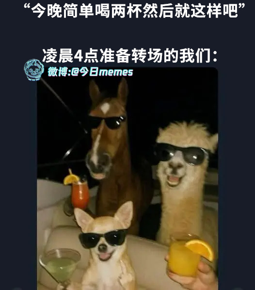 最后一夜（9gag）今日meme[超话] 今日memes ​​​