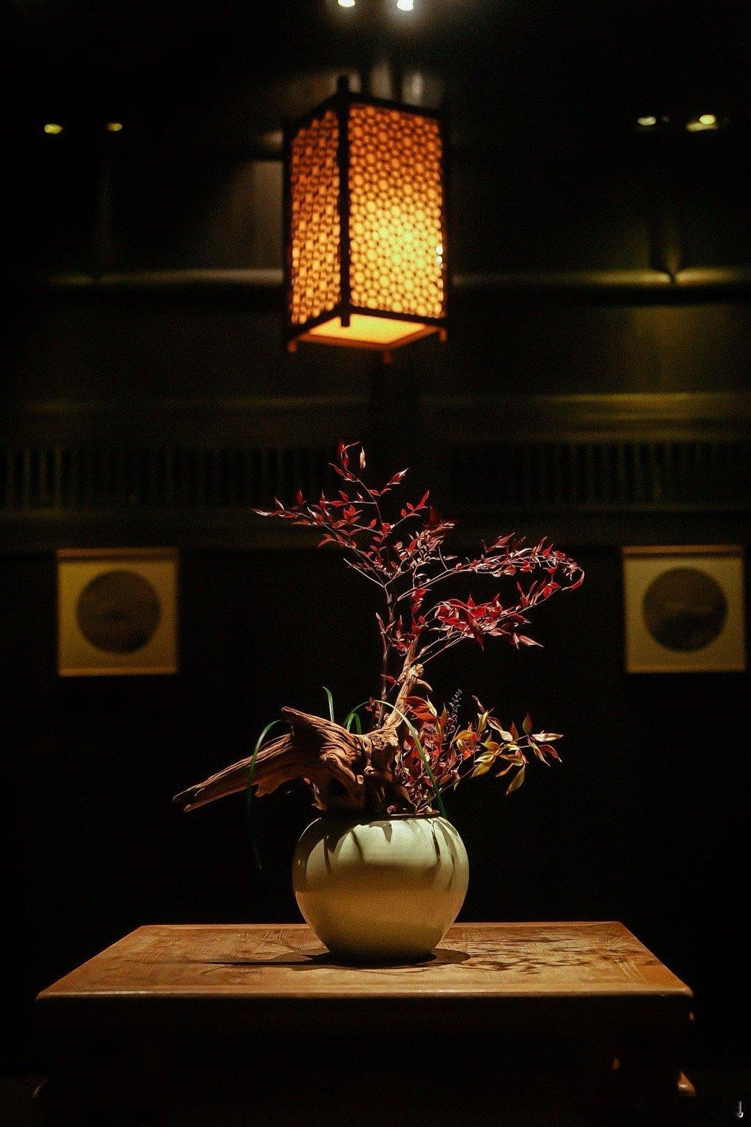 碎碎念鼻祖又来逗我笑了 春节出行主打一个省心又有年味，带爸妈出门的这份专属攻略请