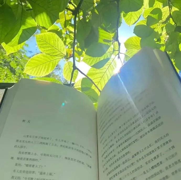 安静努力，悄悄变好。 