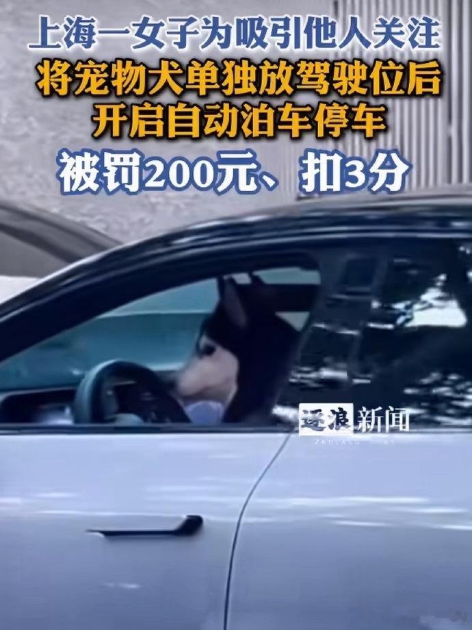 胖哥汽车频道女子为炫耀自动泊车下车把狗留驾驶位 挺好，自己也红了狗也红了...大