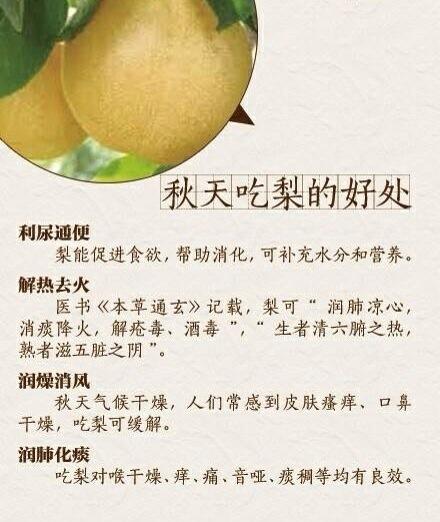 这个季节吃梨的好处...