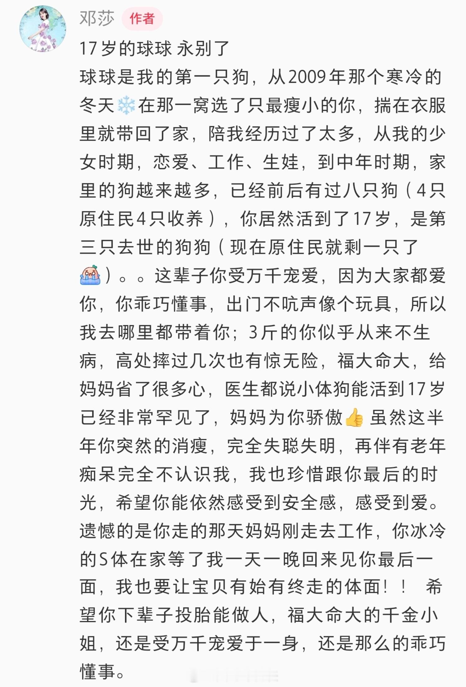 邓莎17岁的狗狗去世邓莎的狗狗去世 邓莎的狗狗去世，办告别仪式，送别陪伴自己17