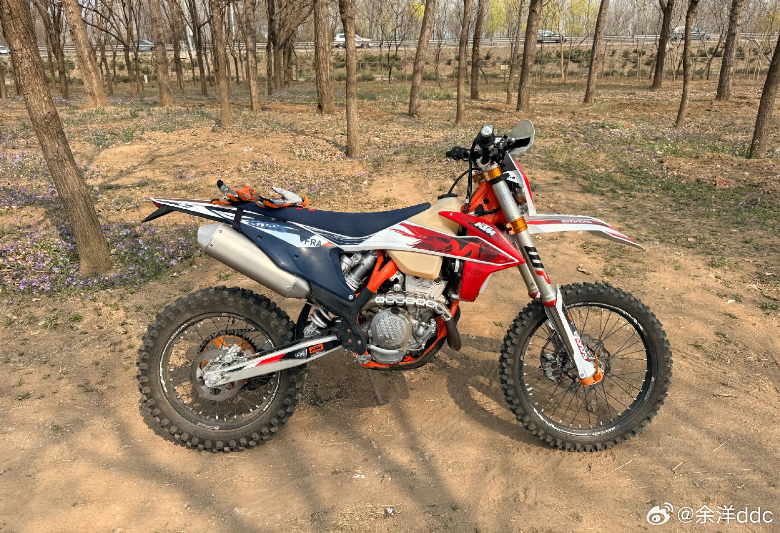 冬天太冷，夏天太热，公路太危险，沙漠又太远…还是小树林适合