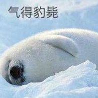 又到了存表情包的开心时刻 ​​​