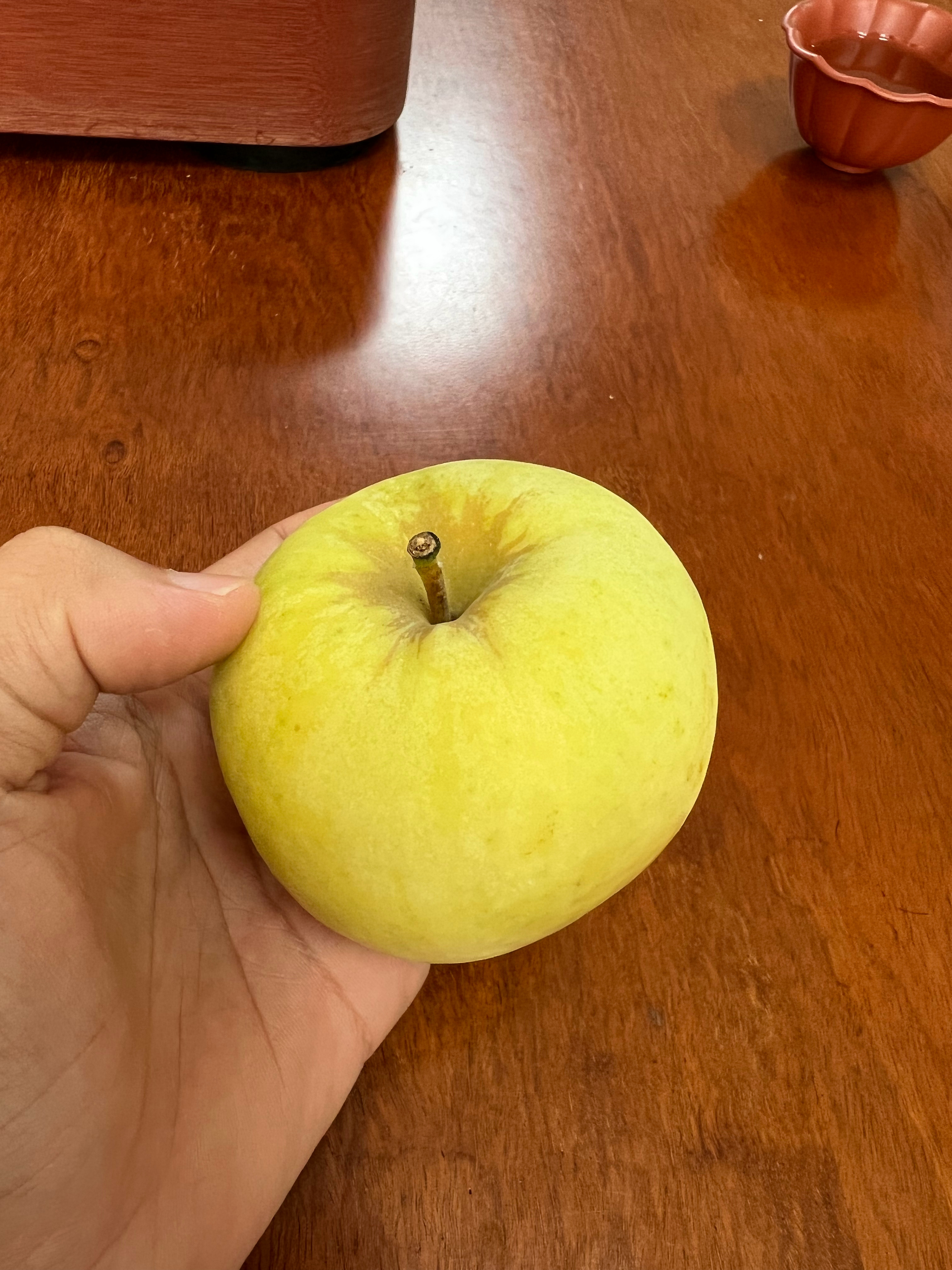 我以为是高科技苹果，但是专家说不说走之前放这里的，十多天了嘿～没变样[二哈] 大
