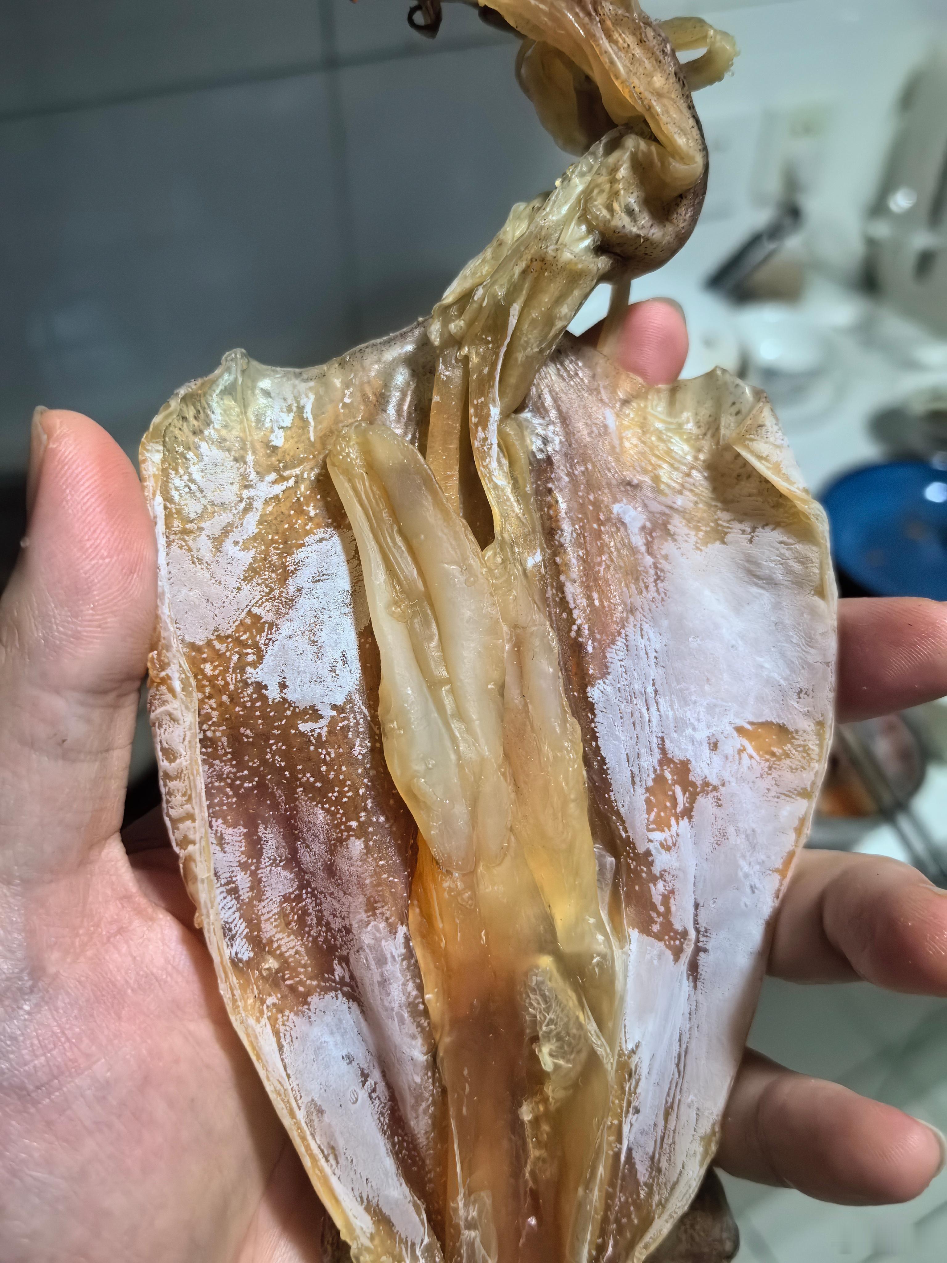 【三伏天观赛奥运 之 新菜研发】1，福建鱿鱼母炖安格斯牛肋条…（那个汤简直鲜到爆
