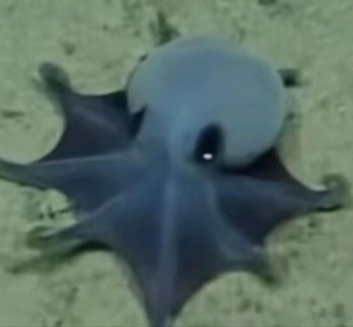 海产浪漫情头 