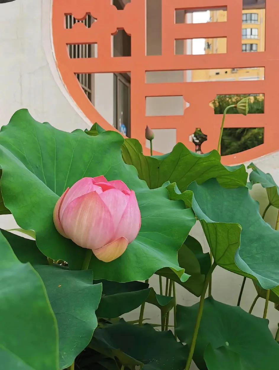 小王很快就要到一所学校去做校长，想听一听我给他的建议。

学校管理真不是一句话两
