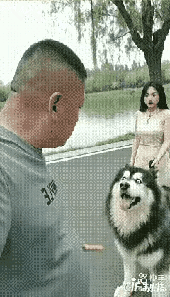 一个姑娘牵着自家狗在小区里好好遛弯，狗子乖得很，不叫不闹不扑人，就安安静静贴着脚