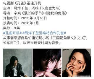 易烊千玺汤唯将合作孔雀最近娱乐圈可是炸开了锅，有消息传出易烊千玺和汤唯即将合作新