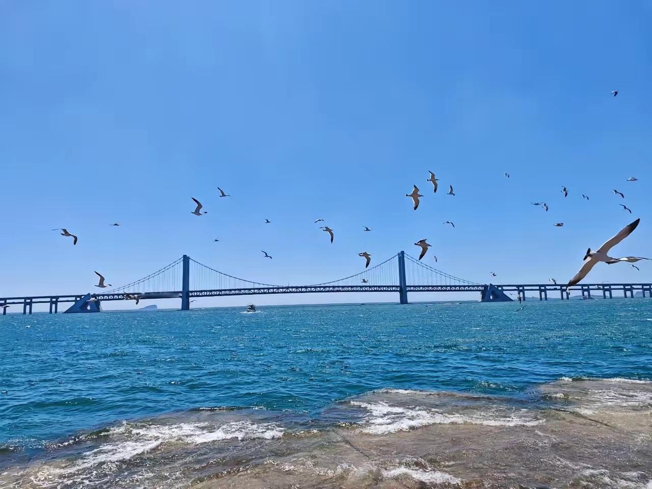 五一假期后重点关注科技龙头:1. 山子高科：芯片概念、减速机、重组预期2. 隆基