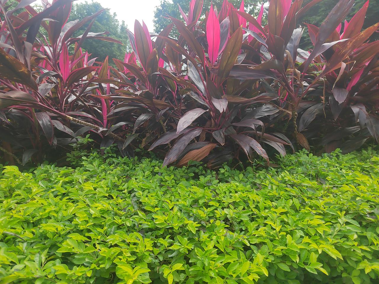 生命是场没有返程的旅途，不在于长度，而在厚度。它藏在清晨的朝阳里，躲在深夜的星光