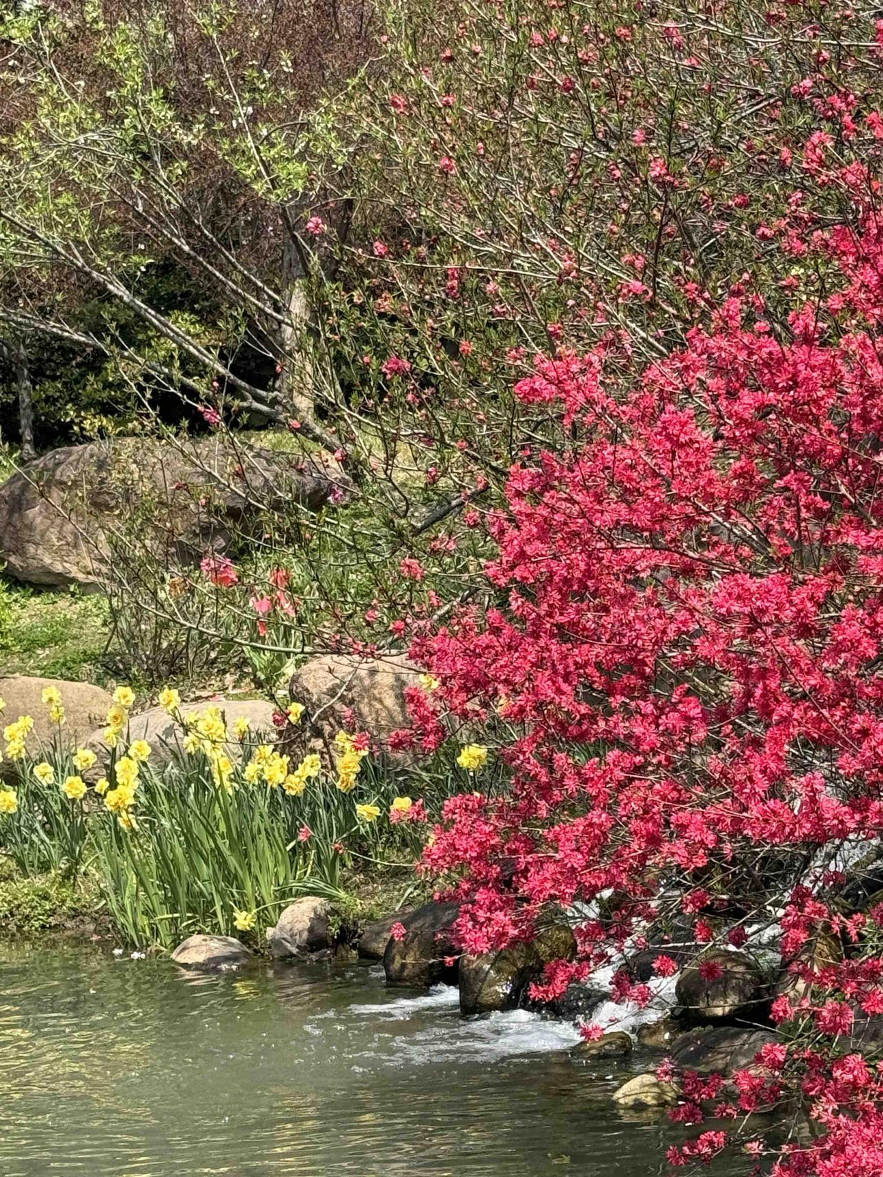 春景小记：春天万物复苏，生机勃勃。绿意盎然的树叶，繁花似锦的花朵，使人心旷神怡！