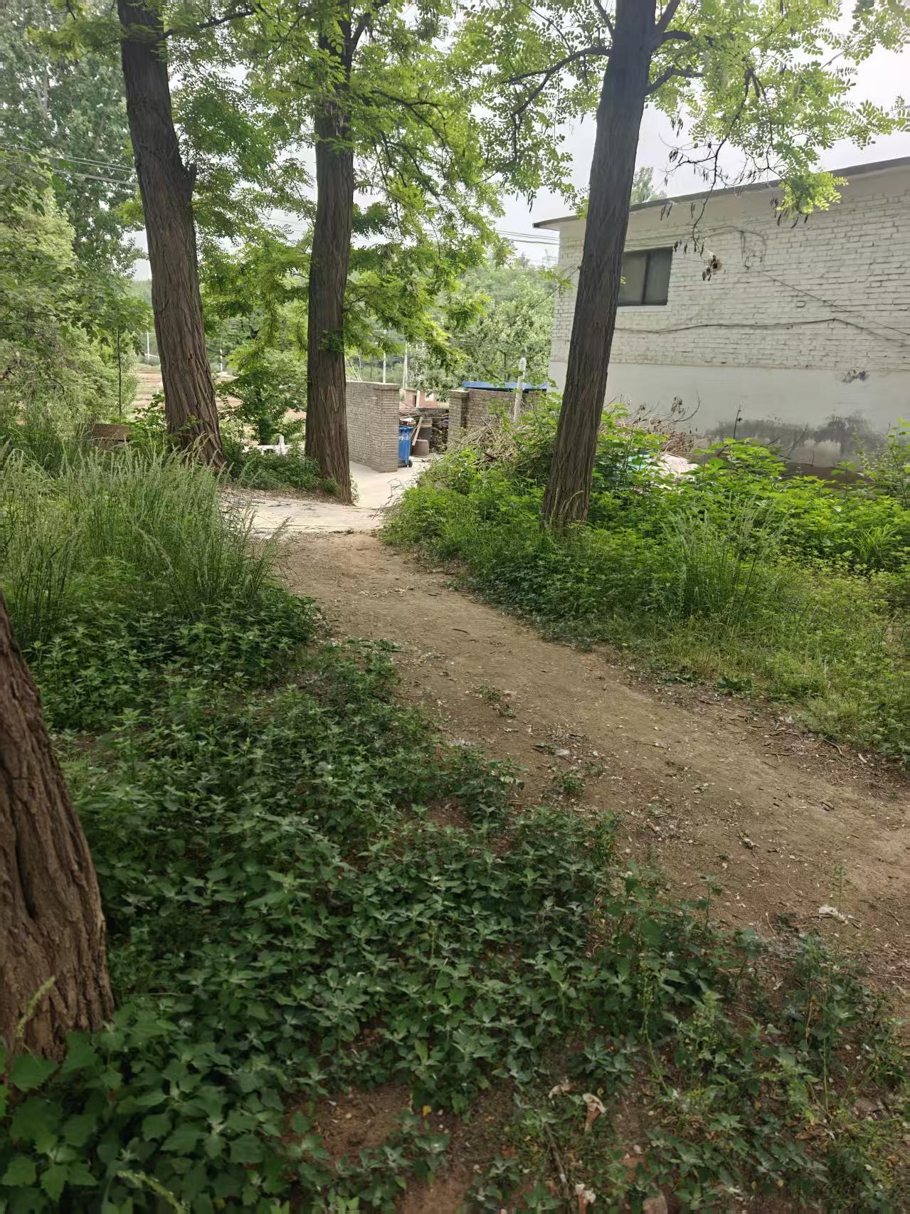 平山县乡村道路统一硬化存遗留问题 村民家门口低洼积水危及房屋无人监管

    