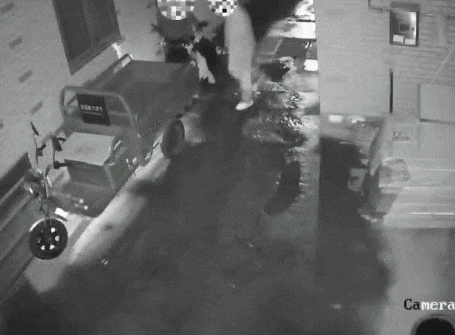 三名老乡来杭打工，进厂没几天嫌累辞职，手头钱花光后，4天盗走8台电动车电瓶，结果