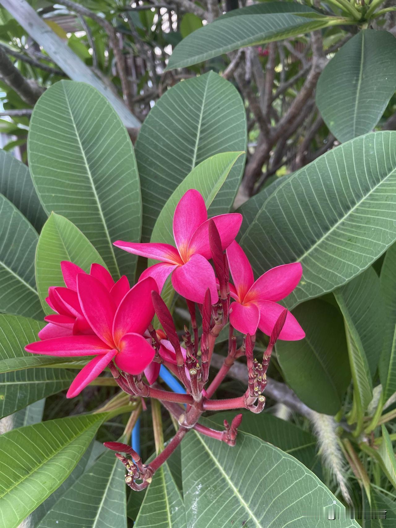 这种男人真愚昧到让人发笑！一男子，跟老婆结婚5年，生了两女儿，月薪5千，他说，生