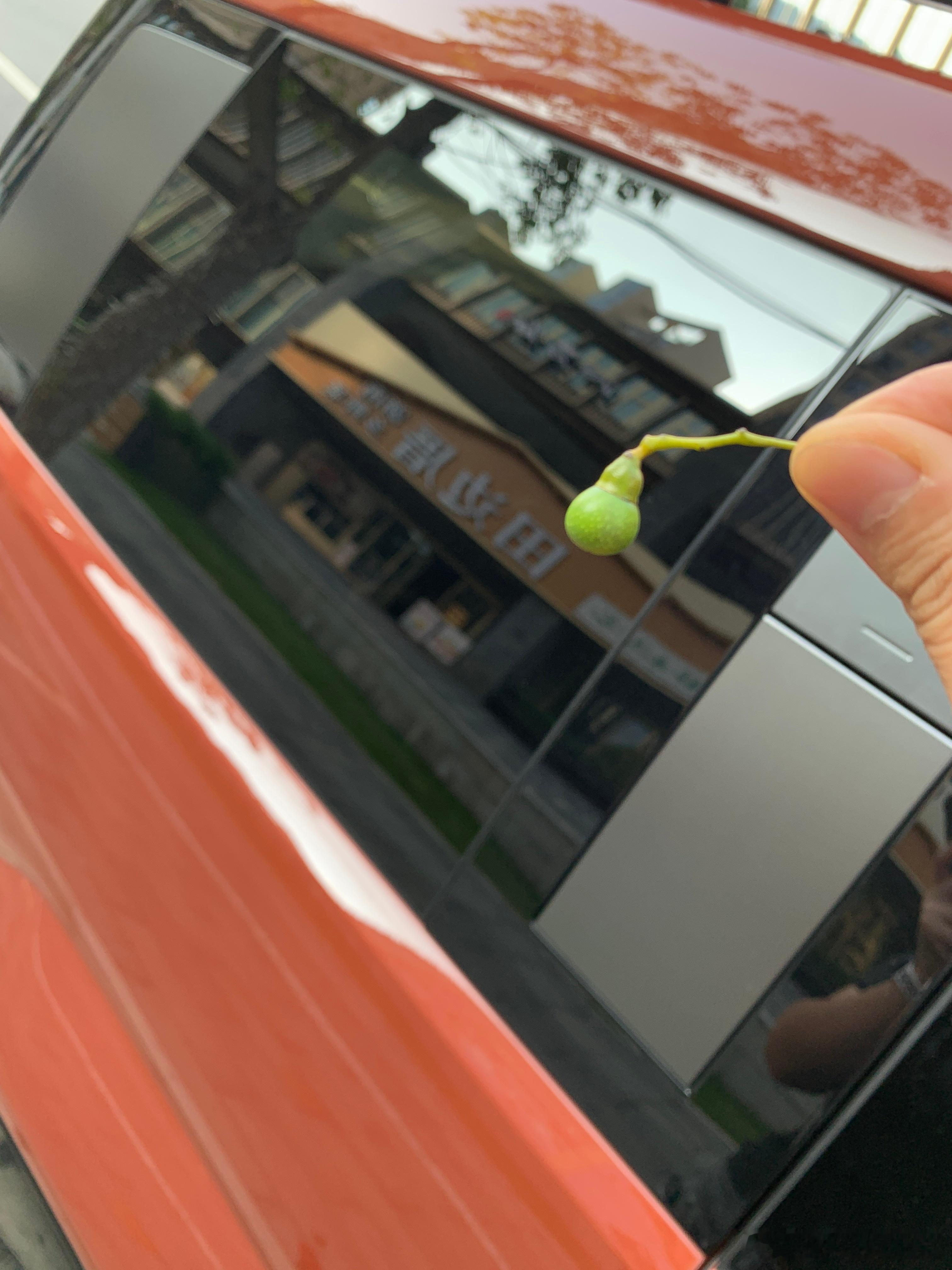台风，但目前是只刮风不下雨...出门拿了一快递，发际线被吹后2cm.顺便分享一下