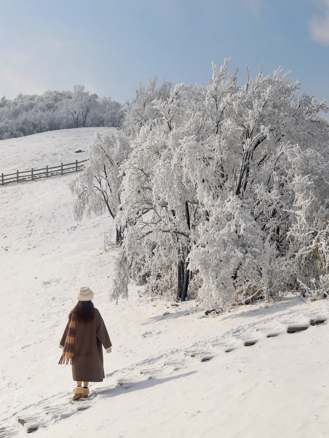不去东北也能拍到雾凇！！就在浙江！！❄️