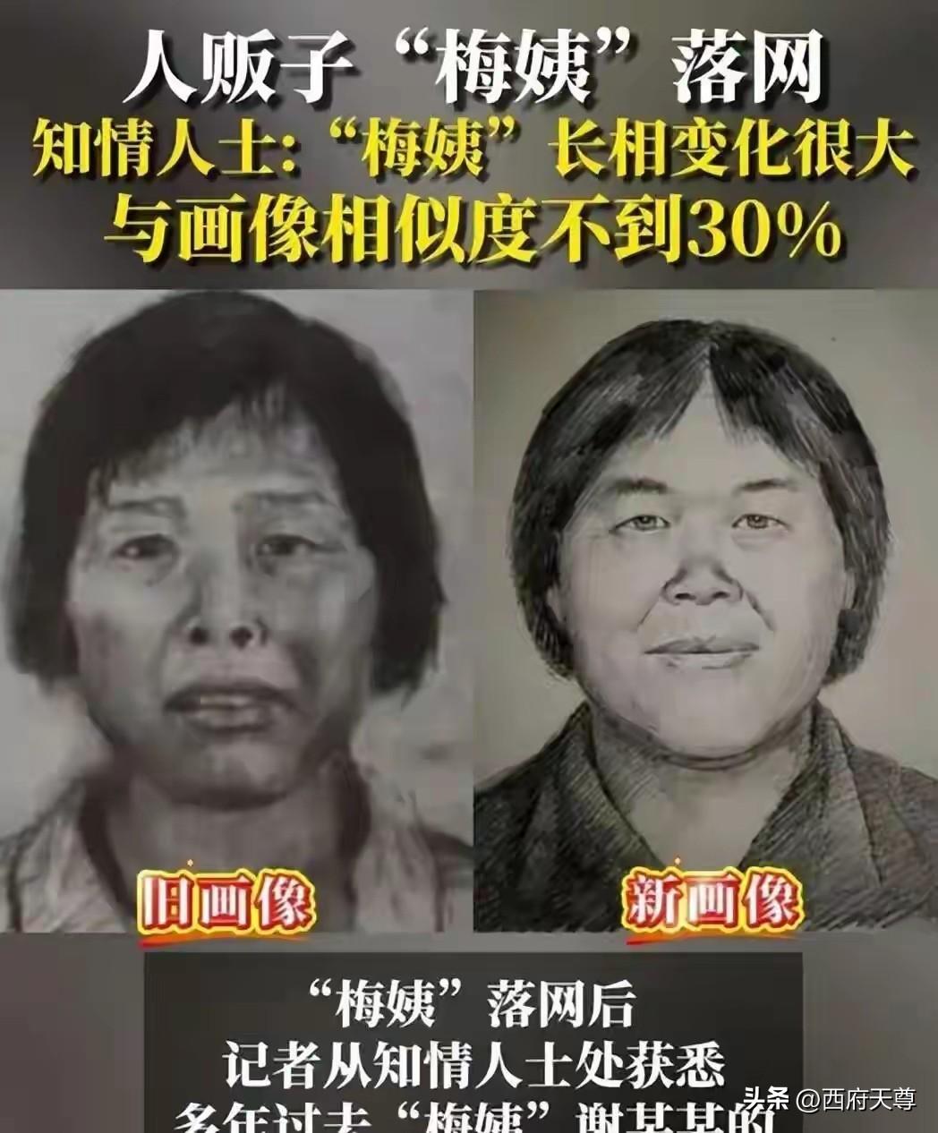 年龄会不会成为“梅姨”的免死金牌，这是很多人都想知道的问题！全网揪心的梅姨案，如