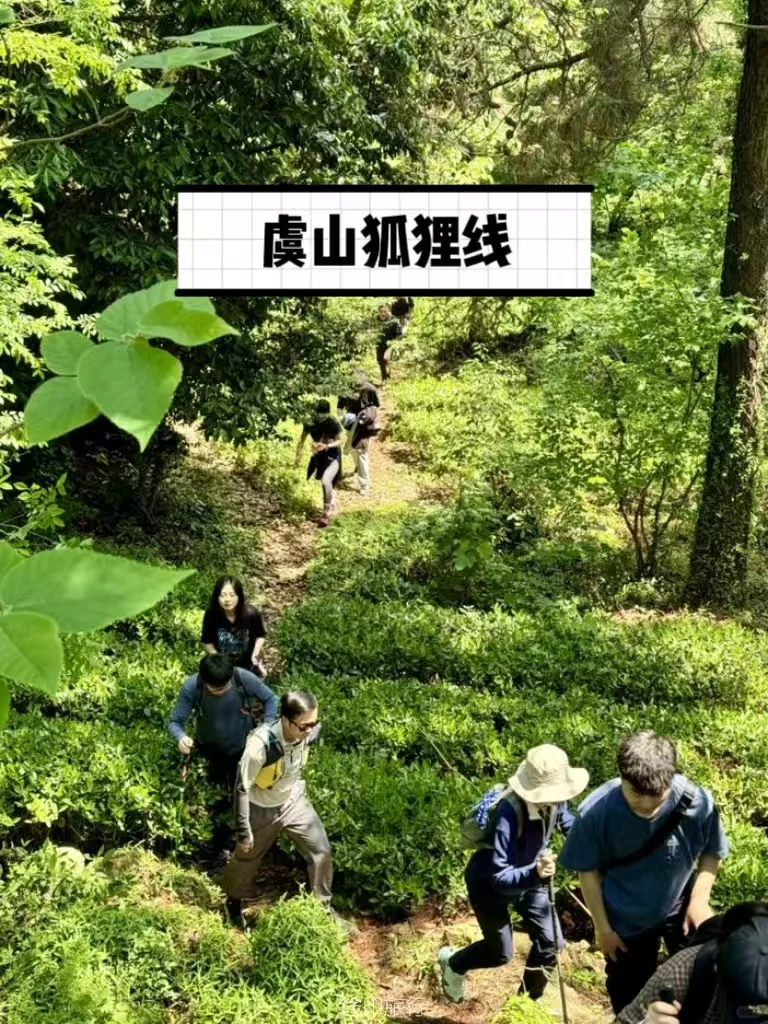 沪上2024十一月徒步路线推荐第四季