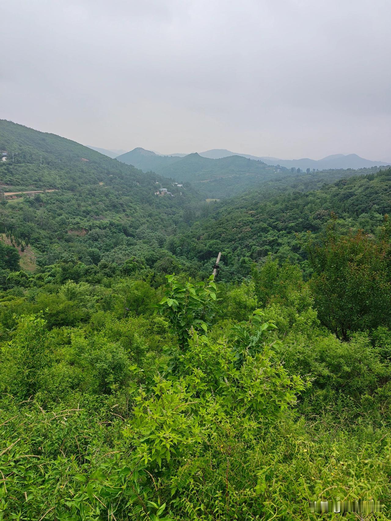 山间翠色
 
登高远望，连绵的群山裹着层层叠叠的浓绿，漫向薄雾朦胧的远方。层层山