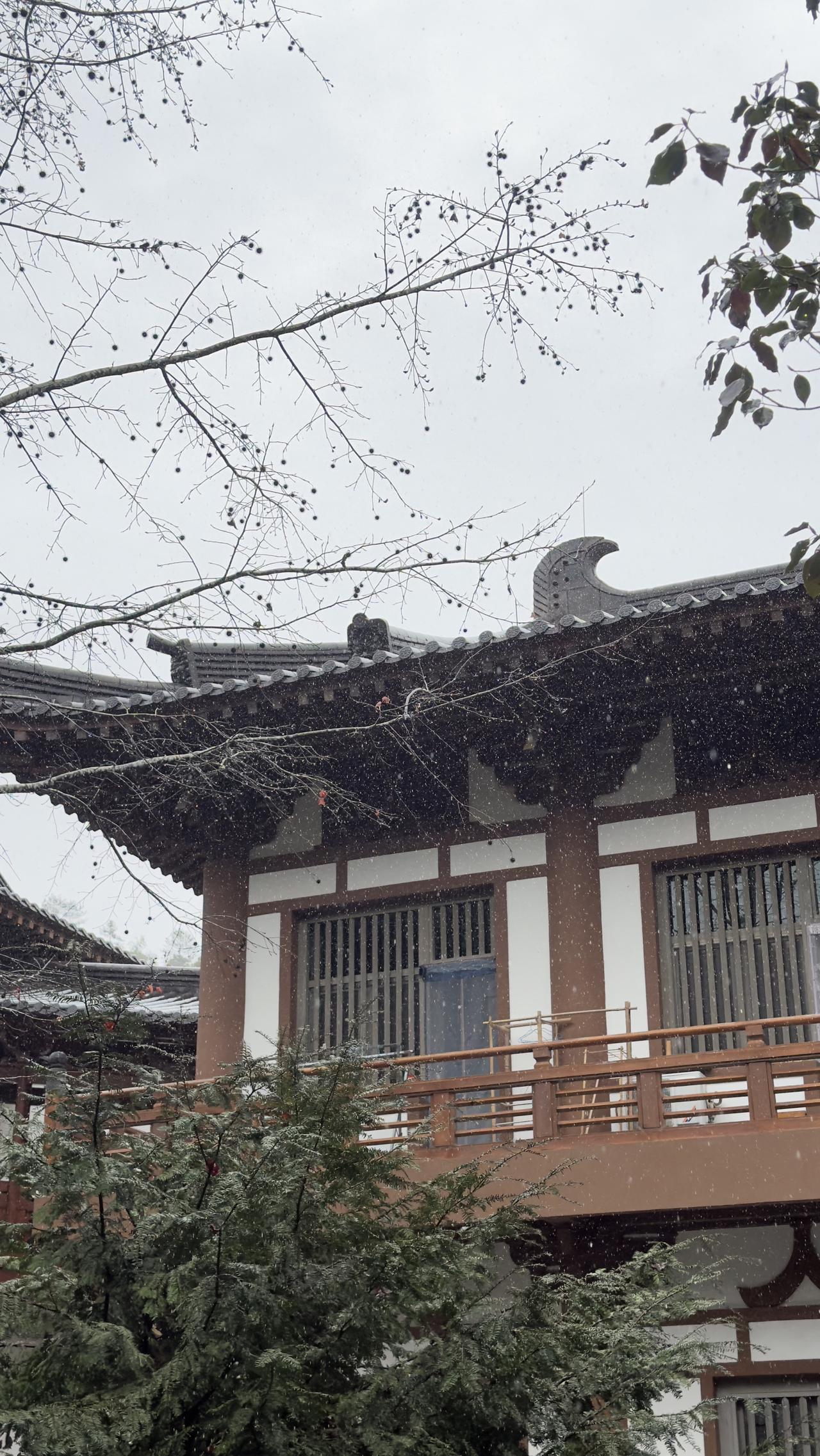 一步一生莲🪷

寺庙