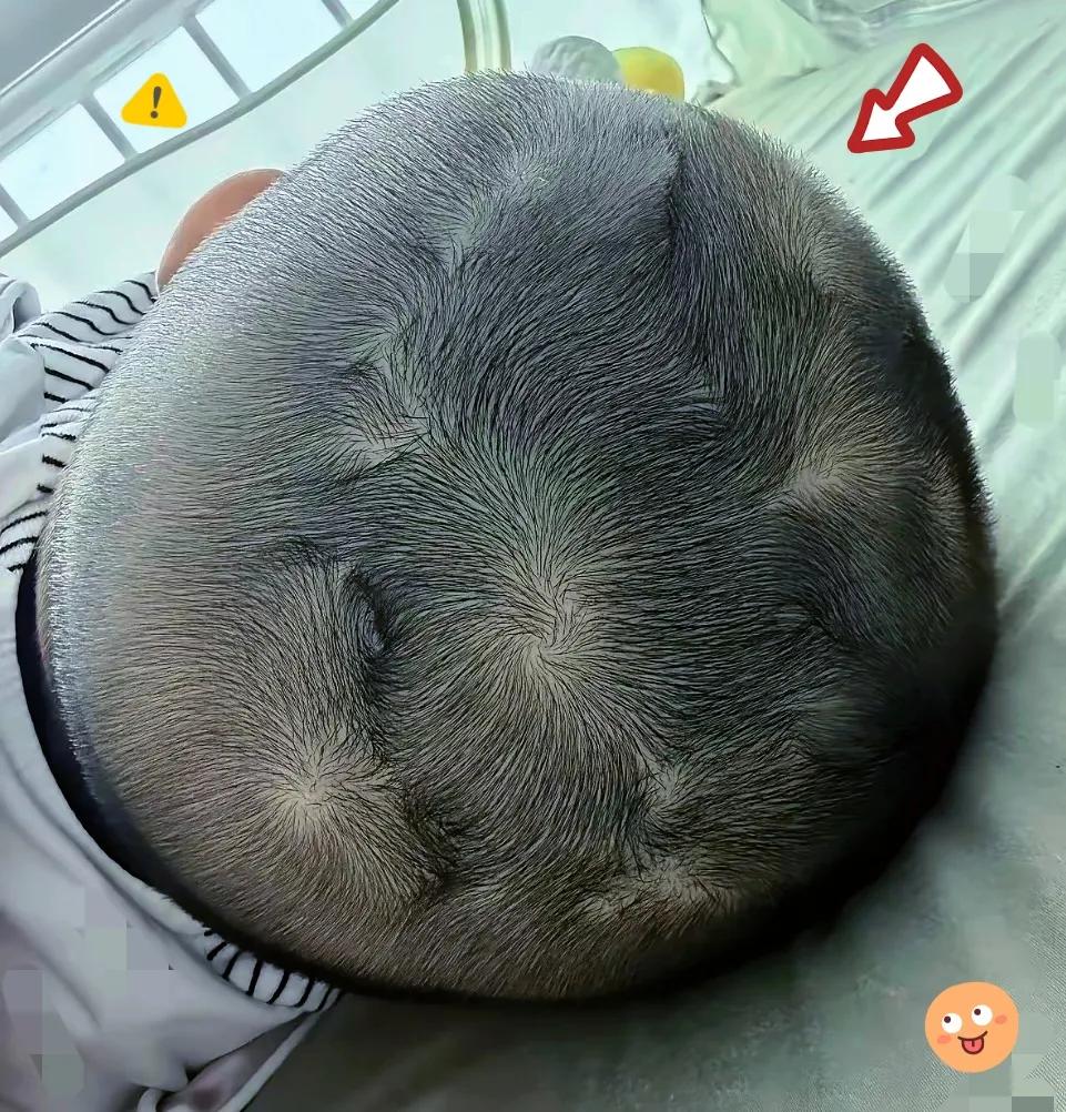 说实话
这个娃长大了肯定是个犟驴
而且还是不听劝的那种[泪奔]