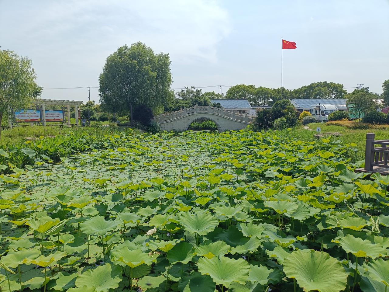 谁有中式石拱桥照片发来欣赏一下
