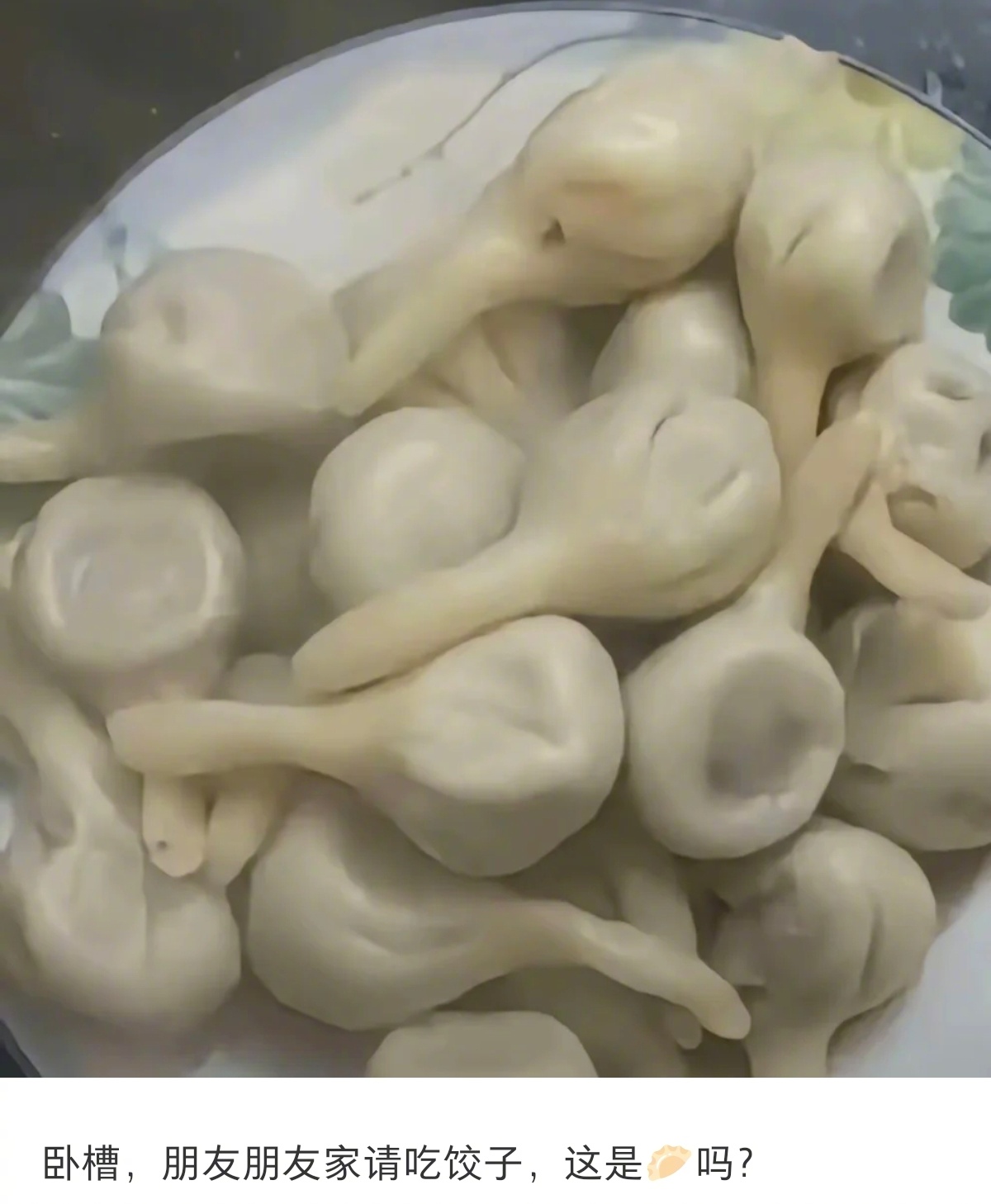 身体力行的证明了饺子只是一种形态 