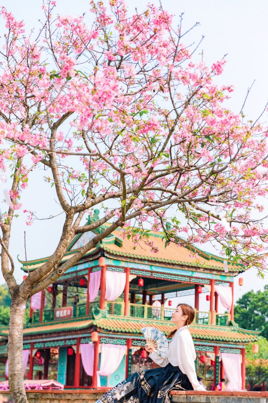 春游记｜3.8实拍📷宝墨园🌸樱花悄悄盛开啦