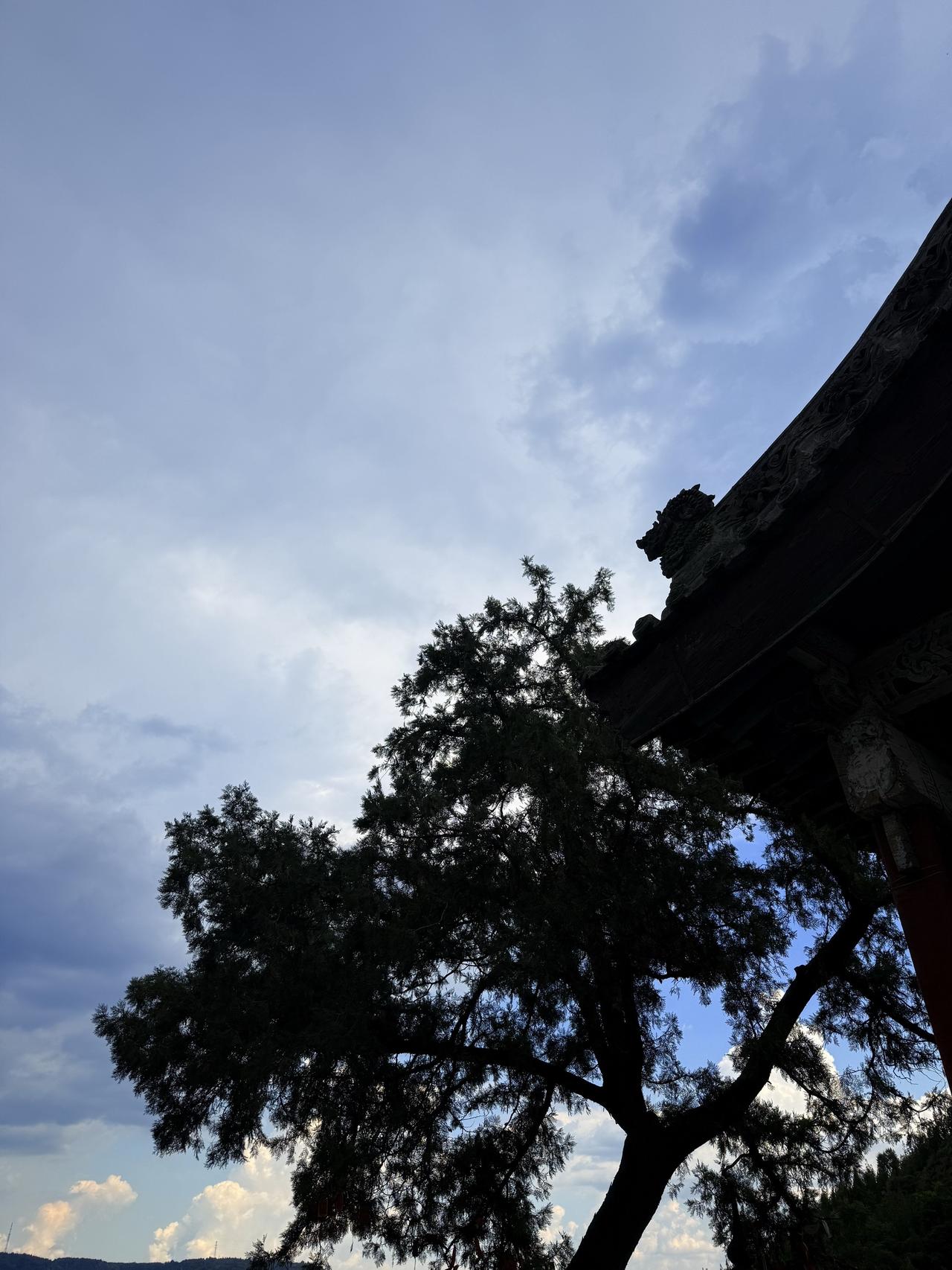 解答粉丝疑问：我这半年在做什么？