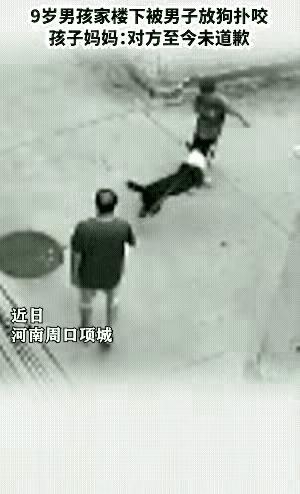 看完这视频真的气炸了！2026年1月1日都出新规了，狗咬人不光要赔钱还得拘留，这