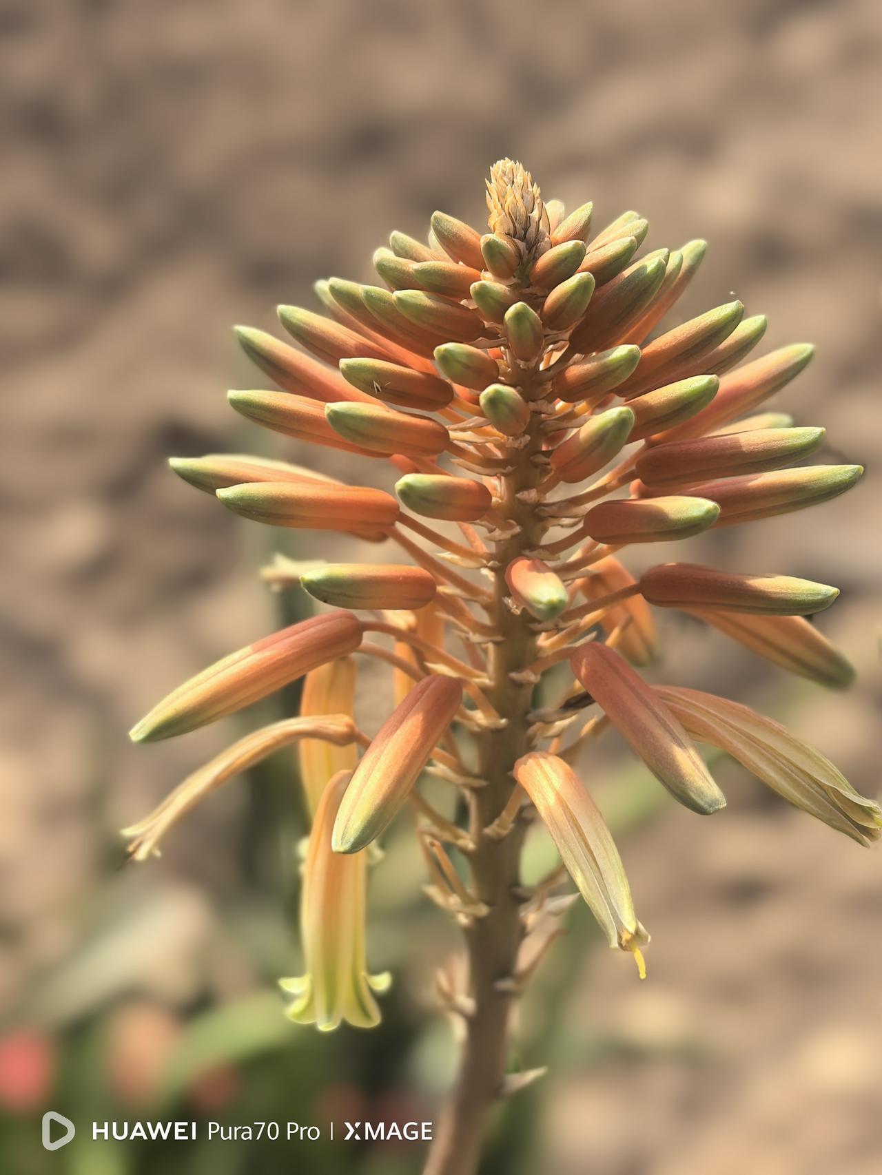 前两天，朋友打电话，知道我们夫妻都退休了，相约几位好友小聚，欣然答应。朋友有一个