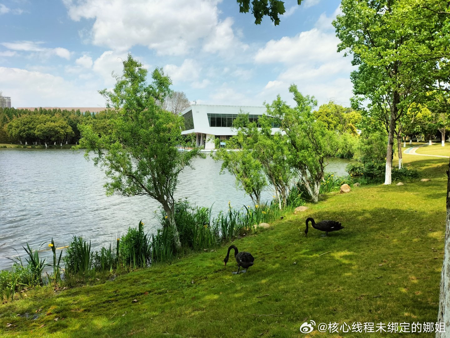 董宇辉曾说产品上播10天前有人试吃太好吃了云南米线真的很开心又学习又欣赏 